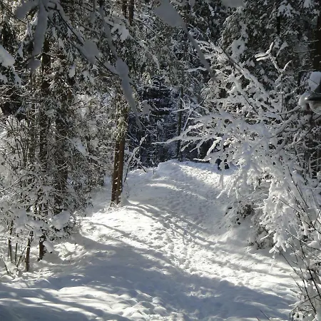 بيت للعطل Tyrol *