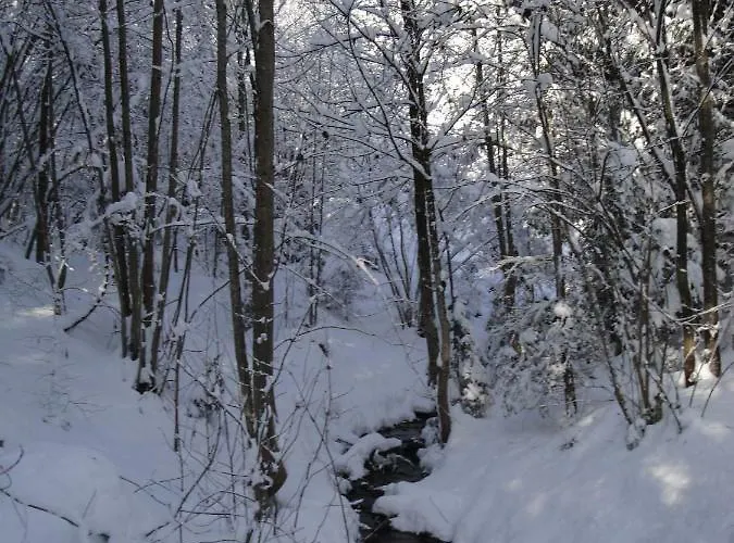 Tyrol 別荘 フューゲン