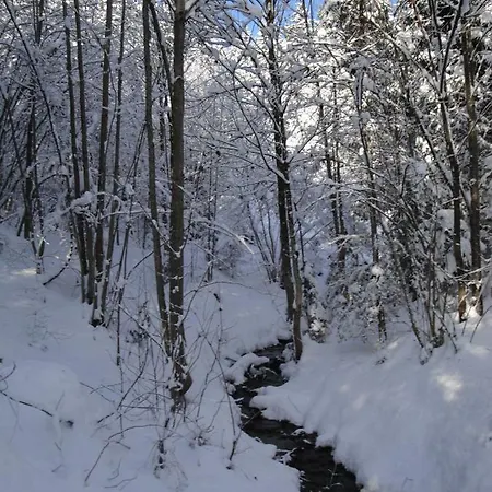 Tyrol Сasa de vacaciones Fügen